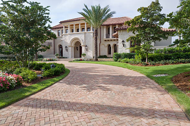 Best Driveway Paving Near Me  in Strawberry Plains, TN